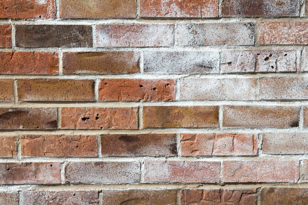 Efflorescence build up on bricks